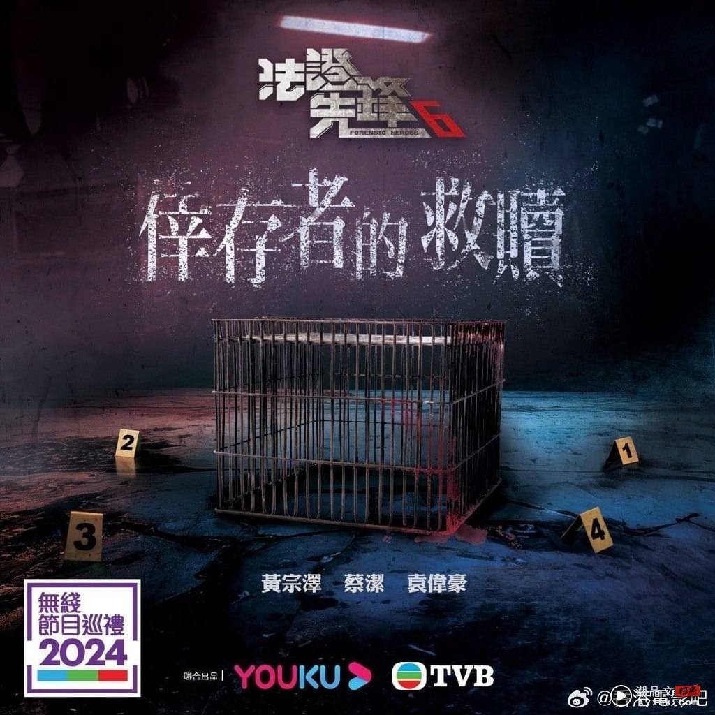 TVB 2024年推10部新剧！《巾帼枭雄》、《法证6》 王祖蓝“福禄寿”找接班人 娱乐资讯 图10张